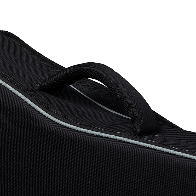 Epiphone EpiLite Case Flying V