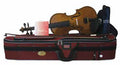 Stentor Student Ii Violino 4/4 Completo Di Arco E Astuccio
