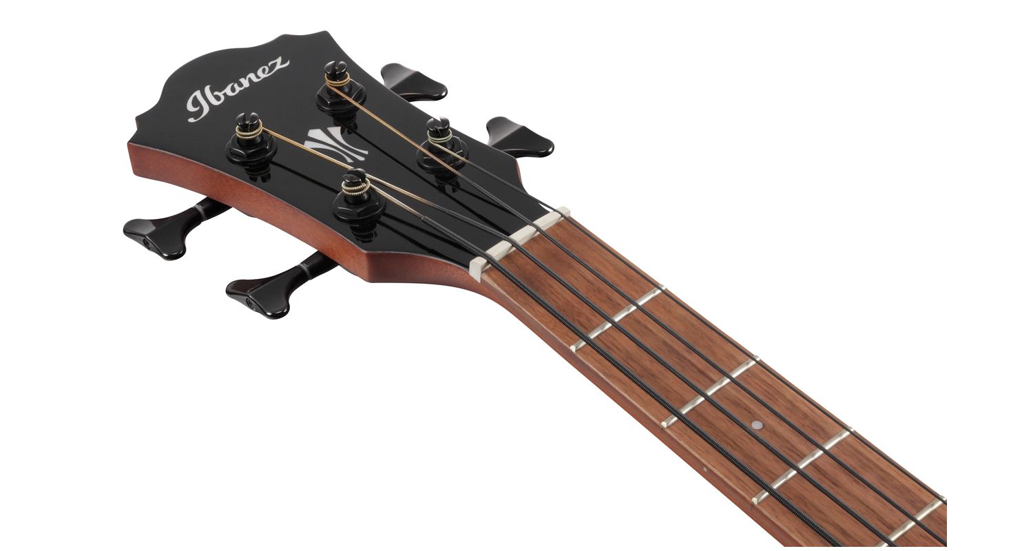 Ibanez Black Acoustic Electric Bass