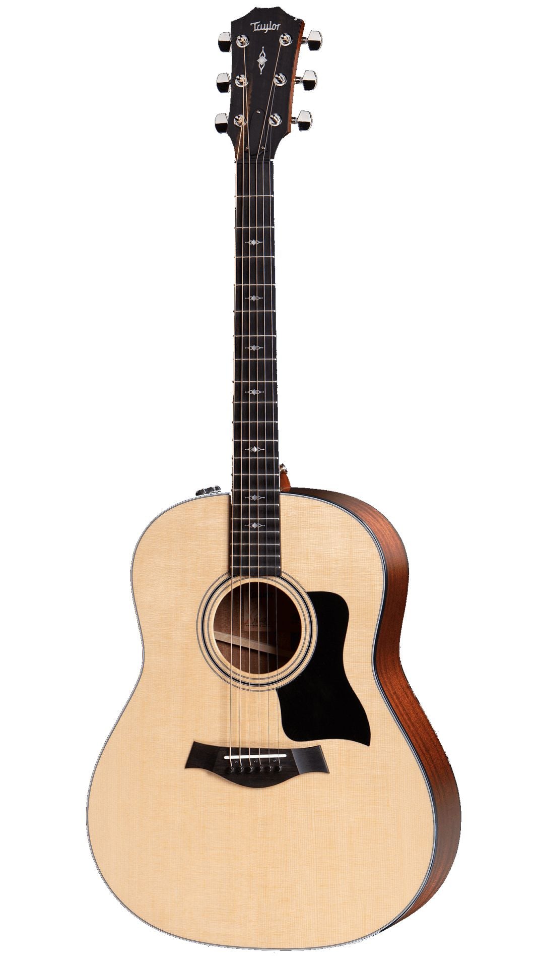 Taylor 317E Chitarra Acustica