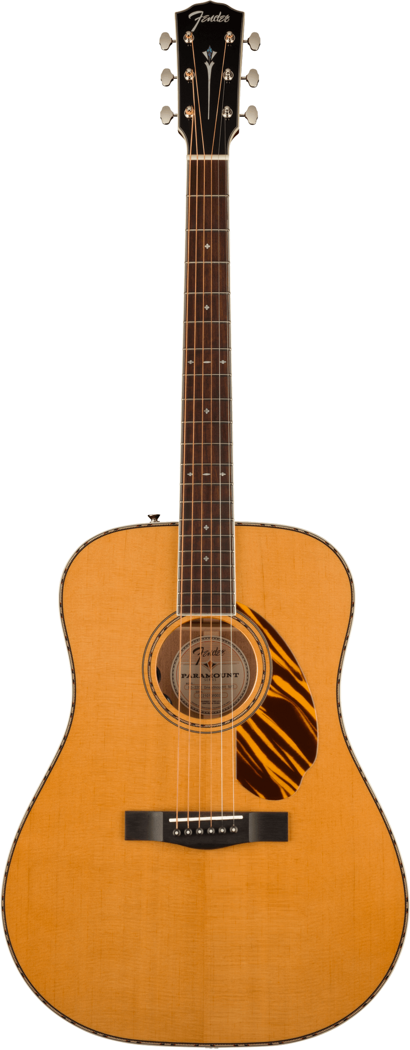 Fender Paramount PD220E Dreadnought Natural con Case