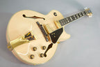 Ibanez George Benson Gb10Nt Chitarra Semiacustica Natural Con Astuccio
