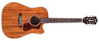 Guild italia D-120ce nat