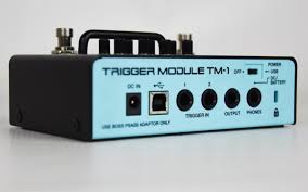 Roland Tm-1 Trigger Modulo Trigger Per Setup Di Batteria Ibridi
