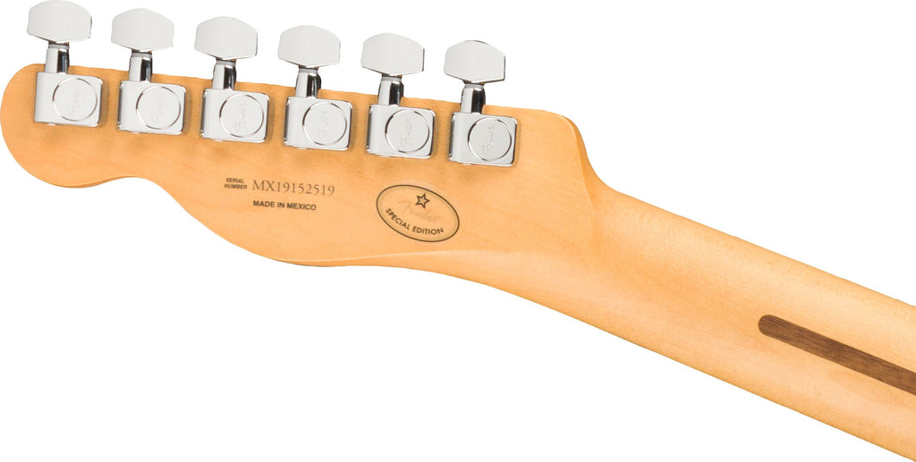Fender Player Telecaster Aged Natural