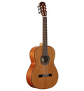 Alvarez Ac65 artist