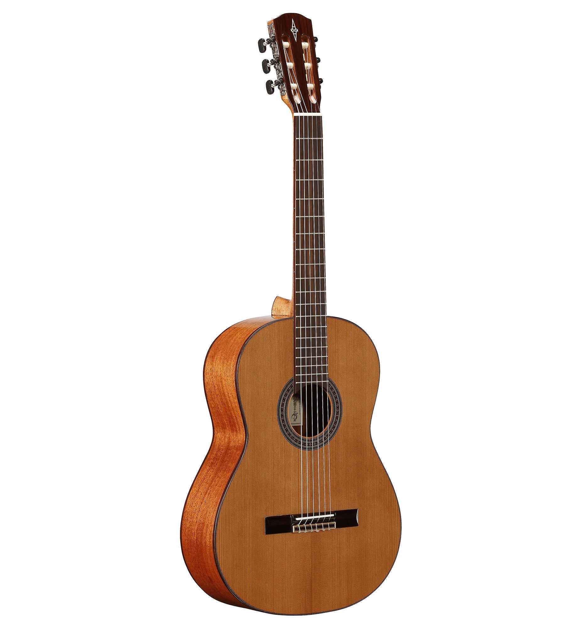 Alvarez Ac65 artist