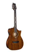 Cort Frank gambale luxe nylon br w/case