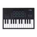 Carry on Carry-on-fc25 - folding controller