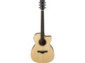 Ibanez ACFS300CEOPS Chitarra Acustica Elettrificata con Gig Bag