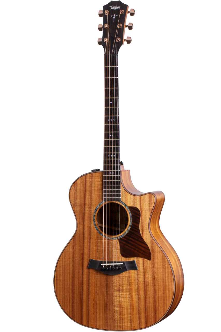 Taylor 724CE Chitarra Acustica Elettrificata