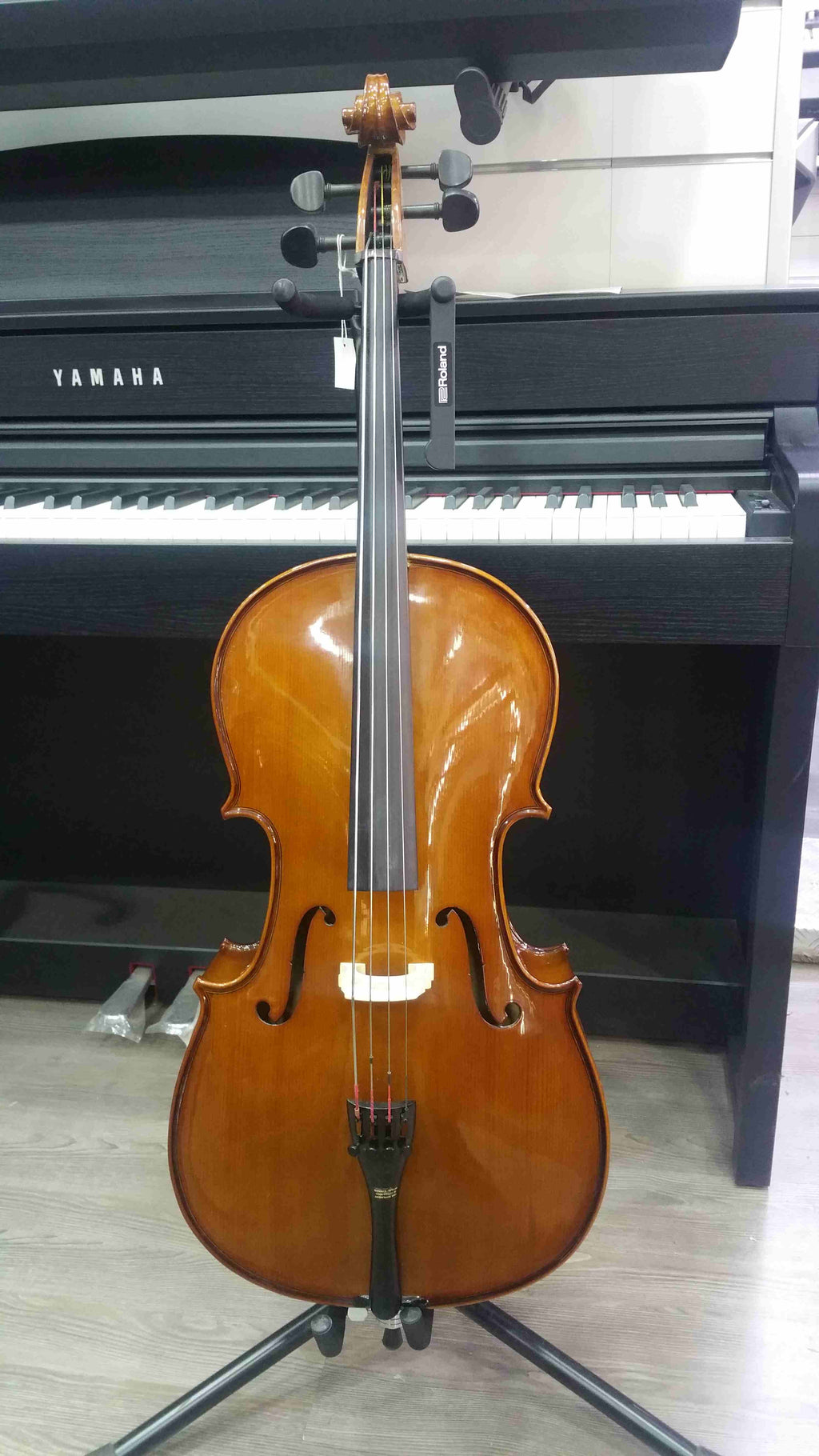 Stentor Student Ii Violoncello 1/8 Con Borsa E Arco