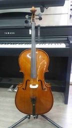 Stentor Student Ii Violoncello 1/8 Con Borsa E Arco