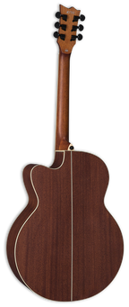 Ltd  J310E Chitarra Acustica Elettrificata Natural Satin