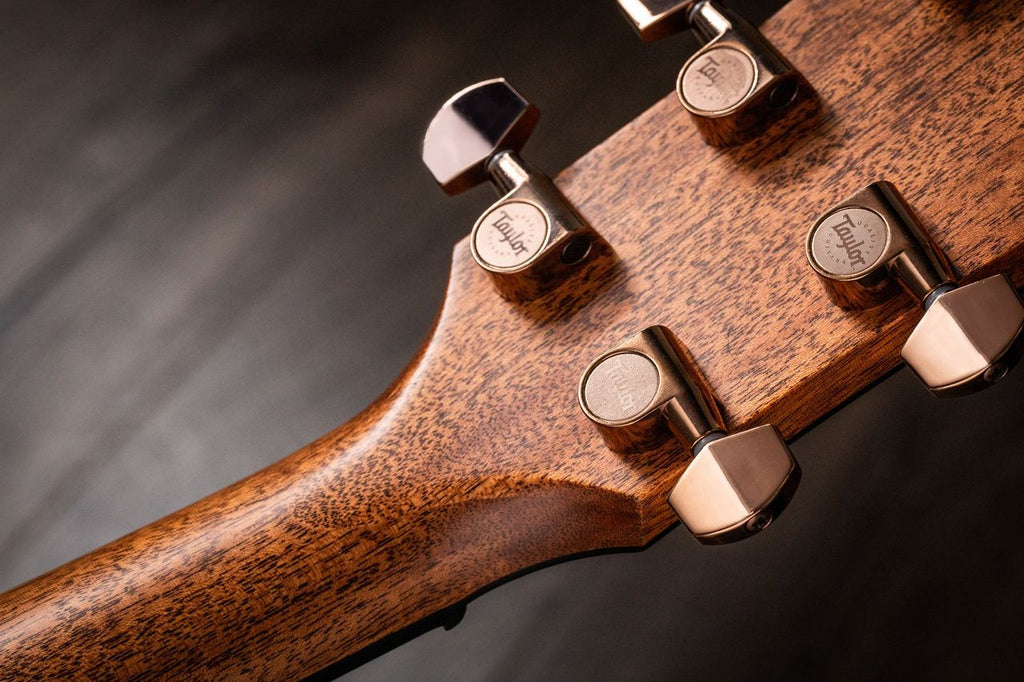 Taylor 724CE Chitarra Acustica Elettrificata