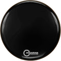 Aquarian Ref22