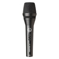 AKG Italy P3s Perception