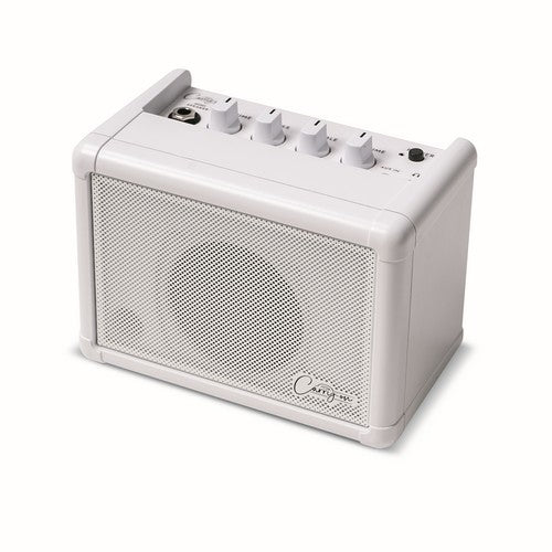 Carry on Co-speaker - mini speaker