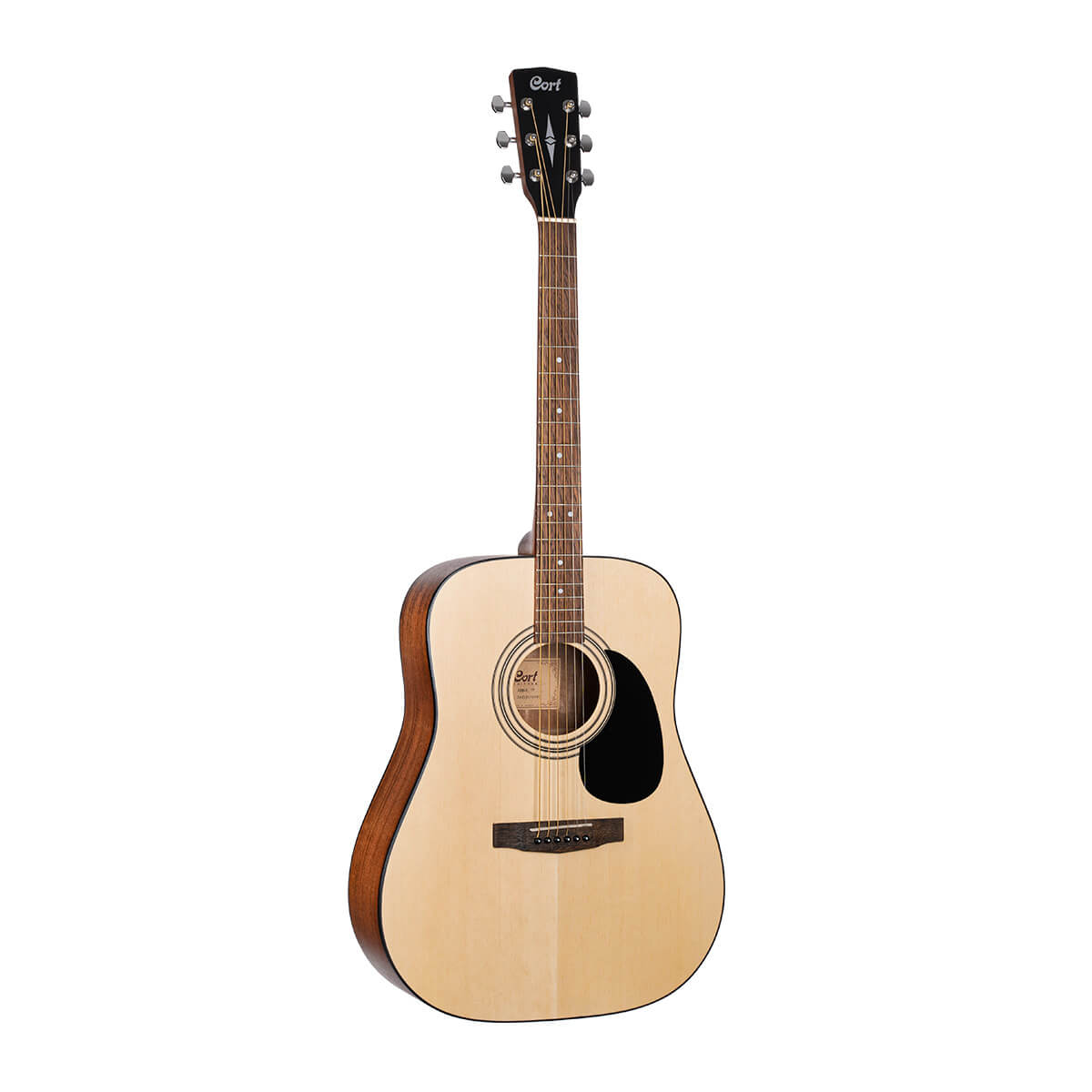 Cort Ad810 op