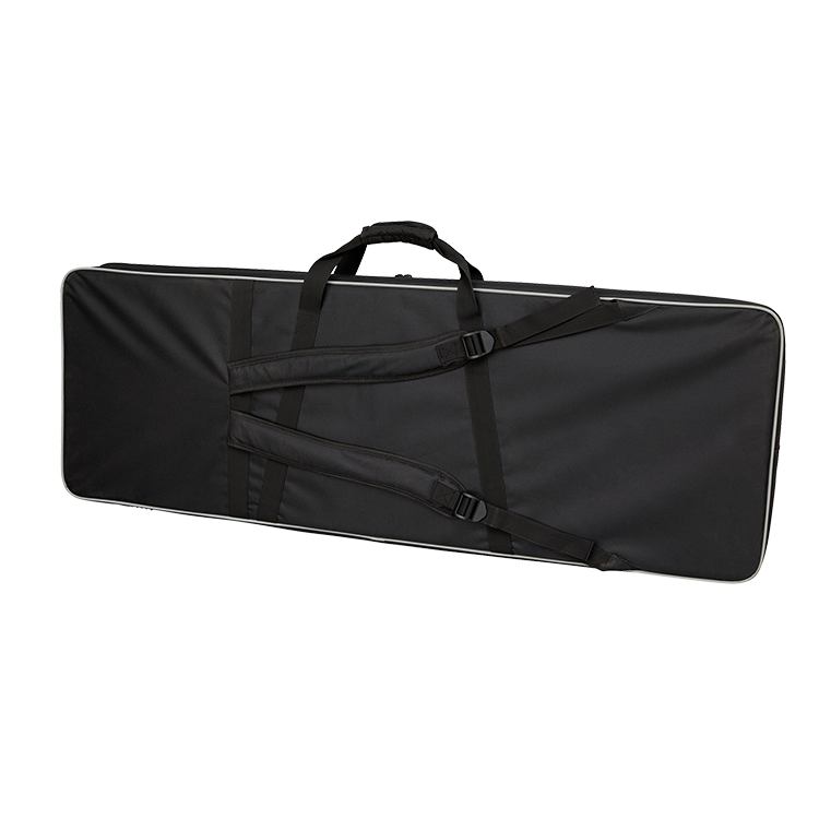 Epiphone EpiLite Case Explorer