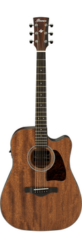 Ibanez AE245JROPN Chitarra Acustica Elettrificata Natural Open Pore