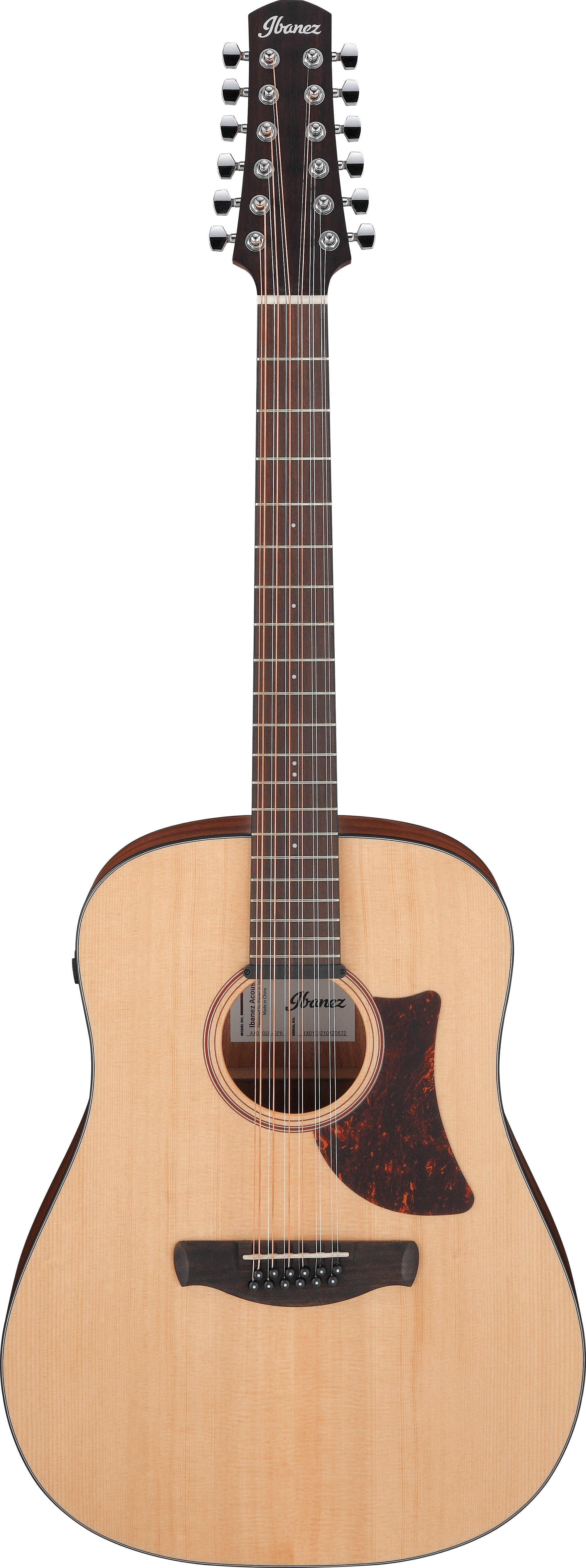 Ibanez AAD1012E Acustica Open Pore Natural 12 Corde Elettrificata