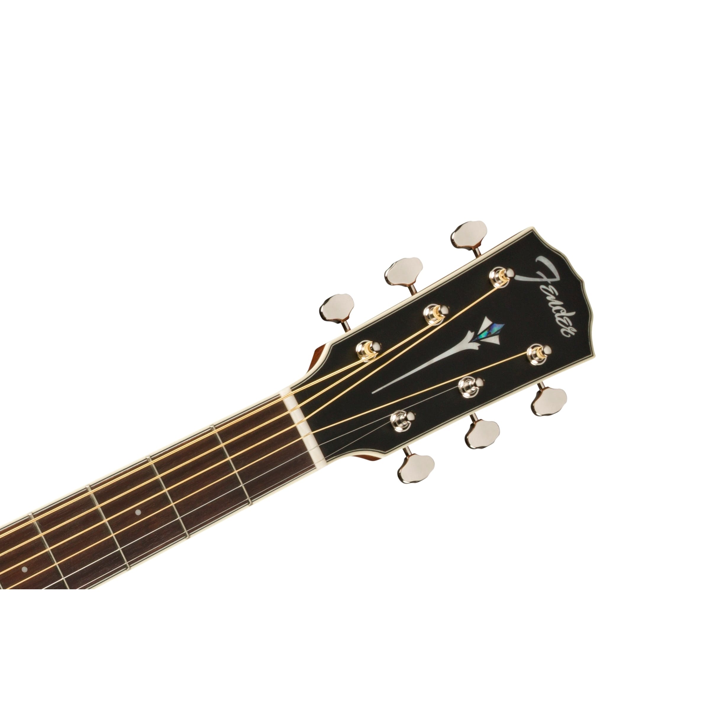 Fender Pm1 Dreadnought Black Top con Case
