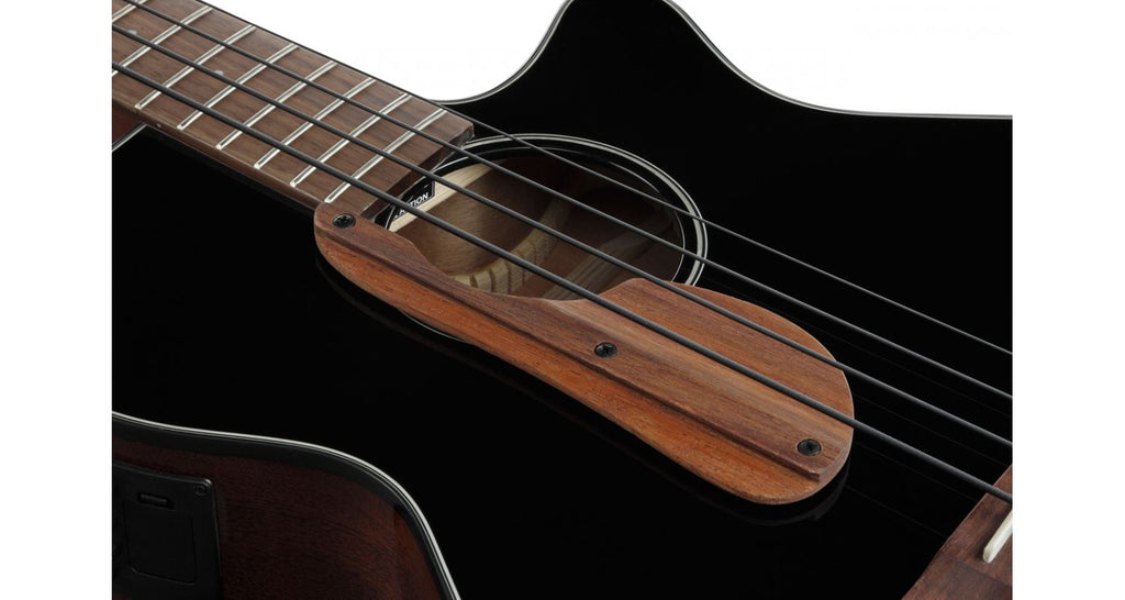 Ibanez Black Acoustic Electric Bass