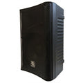 Zzipp Cassa Amplificata 10' con Bluetooth e Lettore Mp3