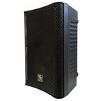 Zzipp Cassa Amplificata 10' con Bluetooth e Lettore Mp3