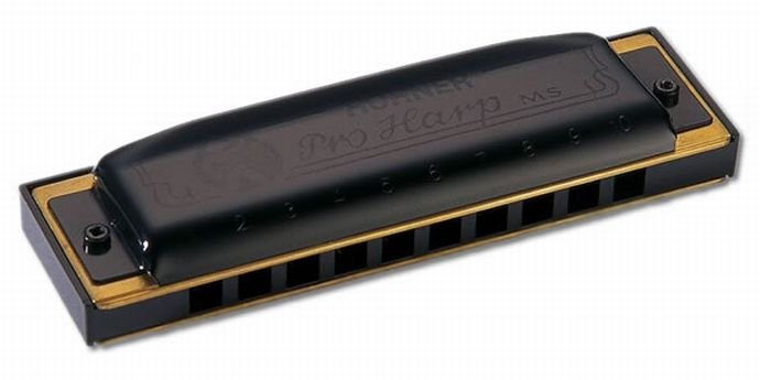 Hohner Pro Harp 20-Voice Harmonica C