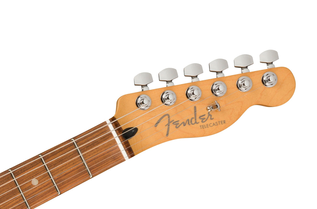 Fender Player Plus Telecaster Pau Ferro Silver Smoke