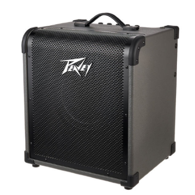 Peavey MAX 100 100W 1x10 Bass Combo
