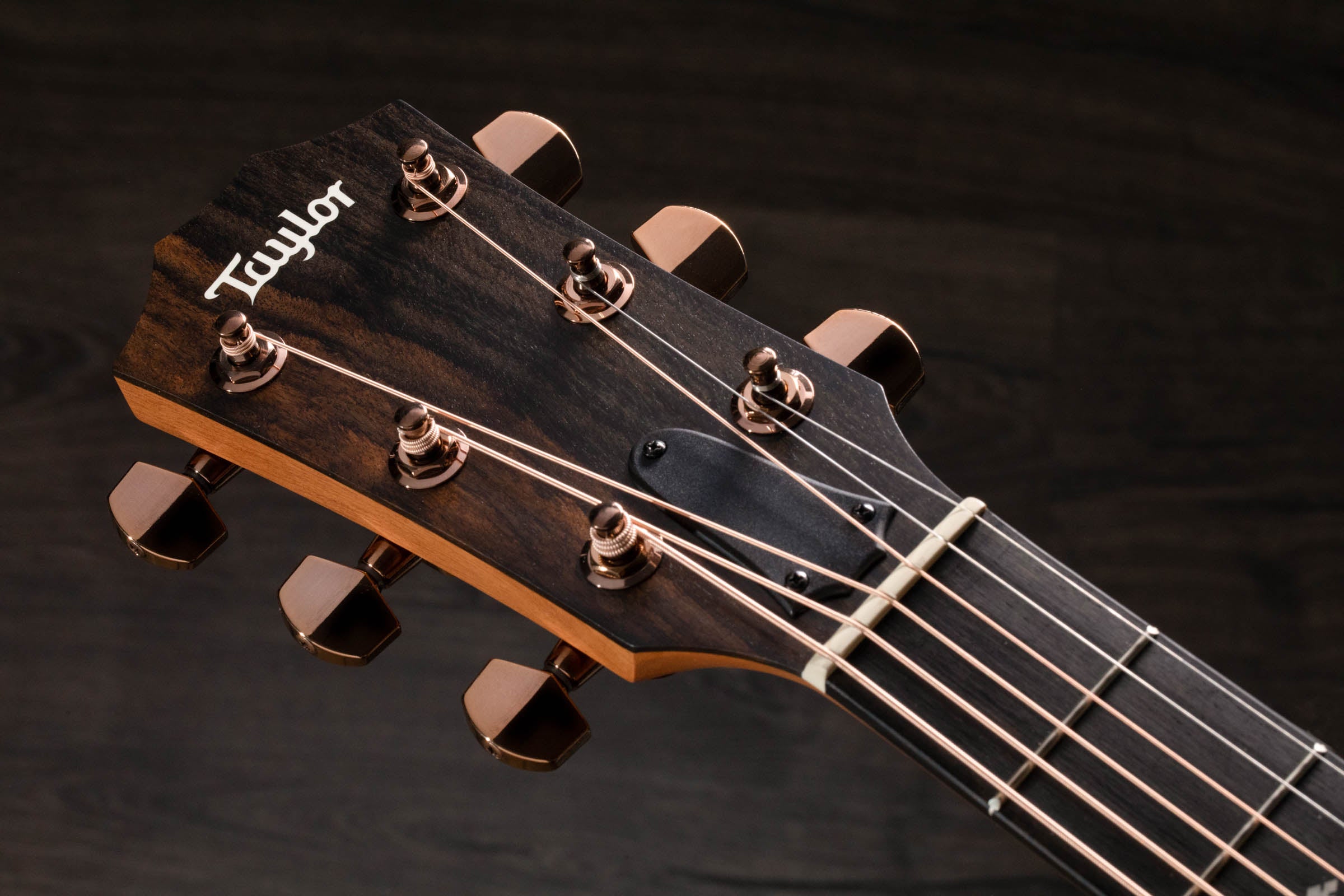 Taylor 224Ce-K Dlx Chitarra Acustica