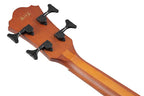 Ibanez Basso Acustico Elettrificato Mahogany Sunburst