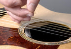 Taylor 80281 Battipenna Right Hand Tortoise per Grand Concert 5,5'
