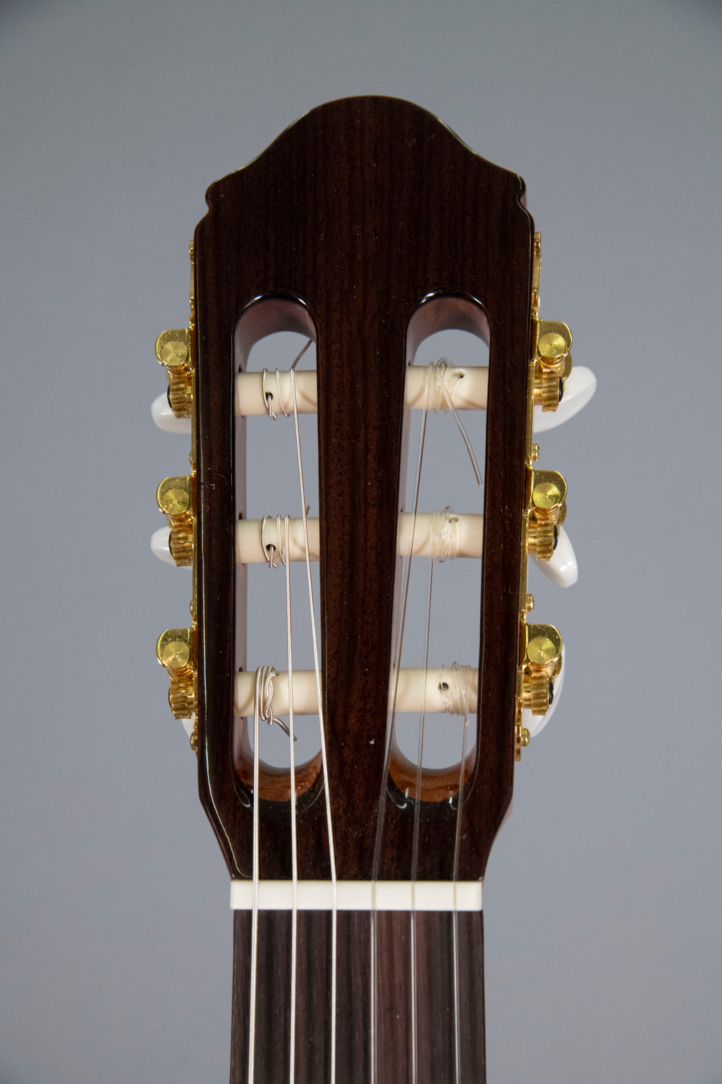 Raimundo 120E Cedar Chitarra Classica Elettrificata Fishman