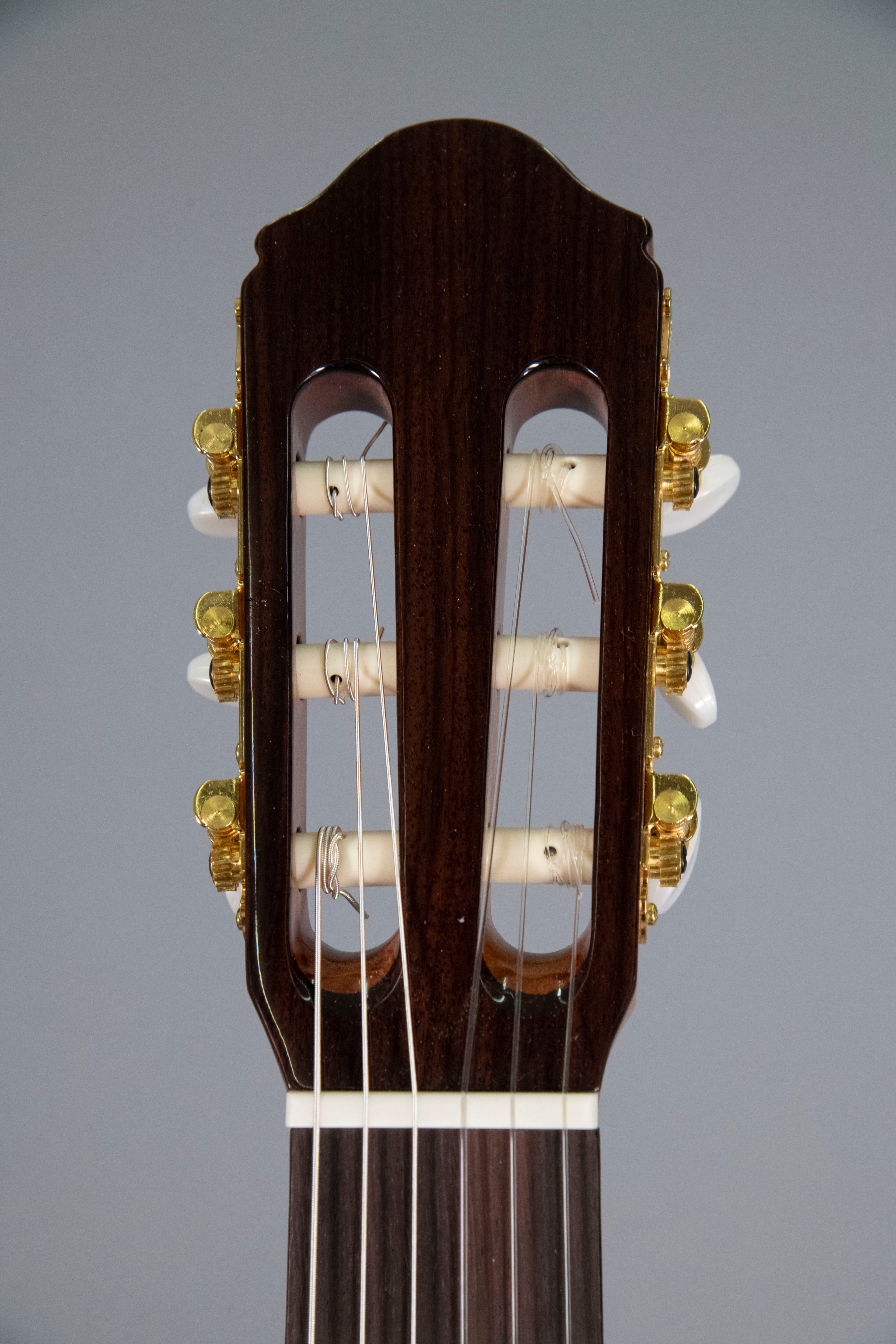 Raimundo 120E Cedar Chitarra Classica Elettrificata Fishman