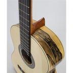 Raimundo 133 Spruce Chitarra Classica
