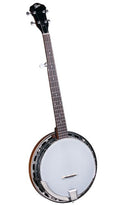 Rover RB25 Banjo open back 5 corde con Risuonatore e Borsa