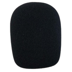 Takstar W10 Antivento Microfono Studio