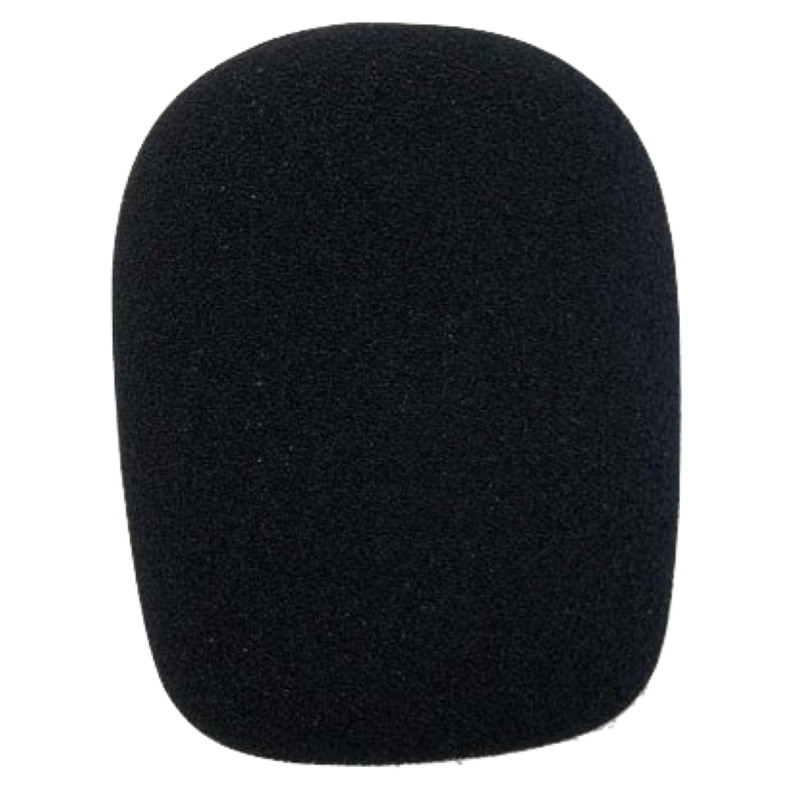 Takstar W10 Antivento Microfono Studio