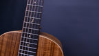 Crafter Big Mino Alk CC Chitarra Acustica Elettrificata