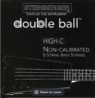 Steinberger Synapse 5 String Bass
