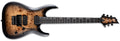 LTD LTD H-1001FR - Black Natural Burst