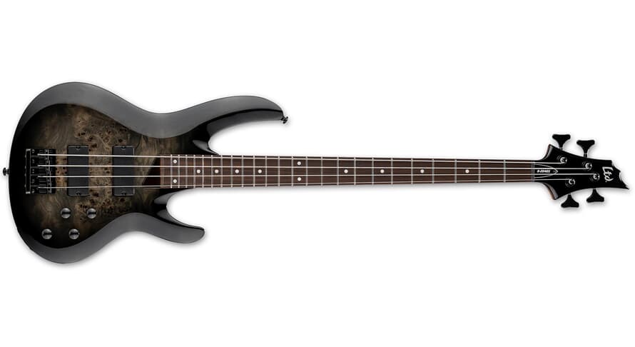 LTD LTD B-204DX - Black Burst