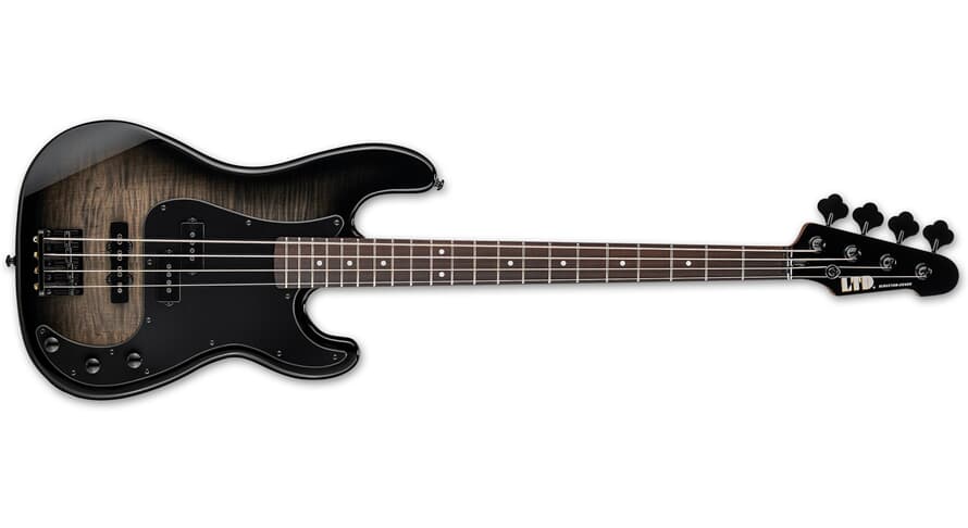 LTD LTD SURVEYOR-204DX - Black Burst