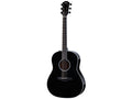 Taylor 217-E Black Plus Maple Spruce
