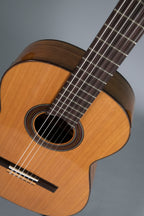 Raimundo 120E Cedar Chitarra Classica Elettrificata Fishman