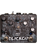 Old Blood Noise Endeavors Blackcap Dual Tremolo